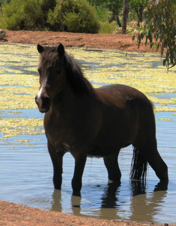 Red Earth Farm