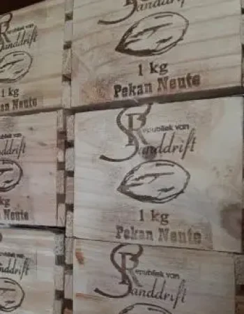 Pecan Nut Farm – Republiek van Sanddrift