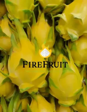 Fire Fruit