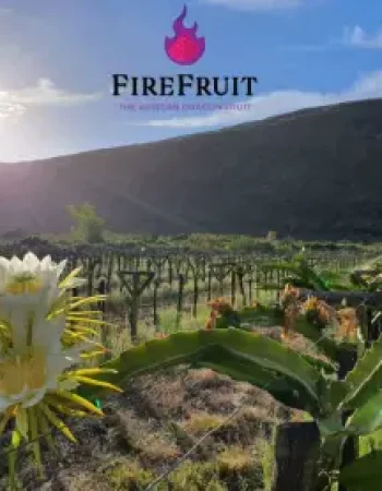 Fire Fruit