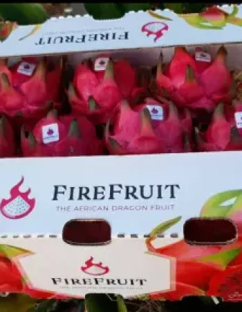 Fire Fruit