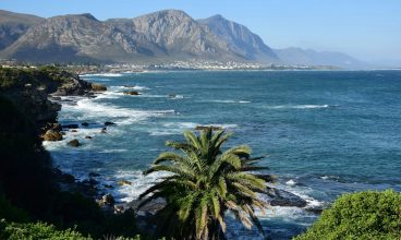 Hermanus